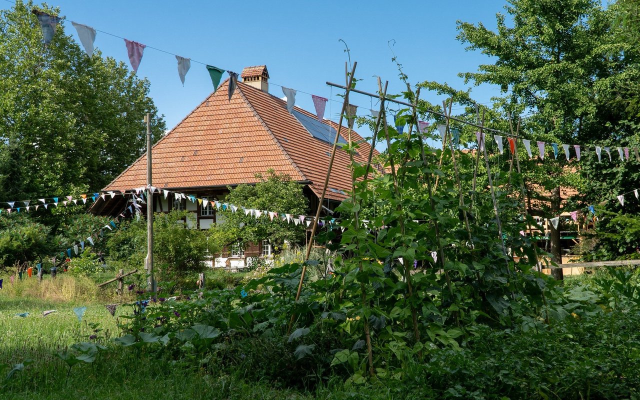 Das Haus hat einen grossen Garten und viel Grün rundherum.