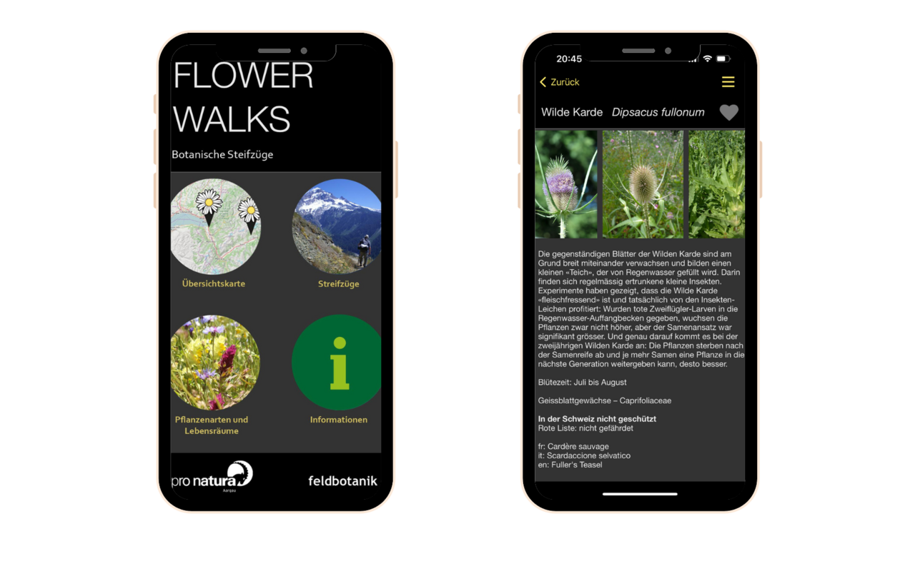 Startseite der «Flower Walks»-App und Beispiel eines Artporträts. 