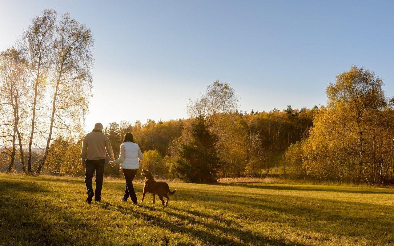 verliebt.tierwelt.ch ist die neue Datingplattform für Natur- und Tierliebhaber.