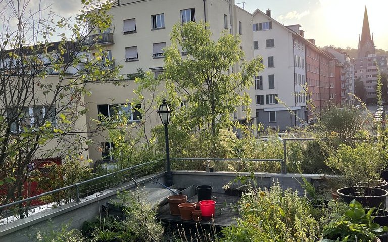 Wo Stadt und Landwirtschaft im Kleinen aufeinandertreffen.