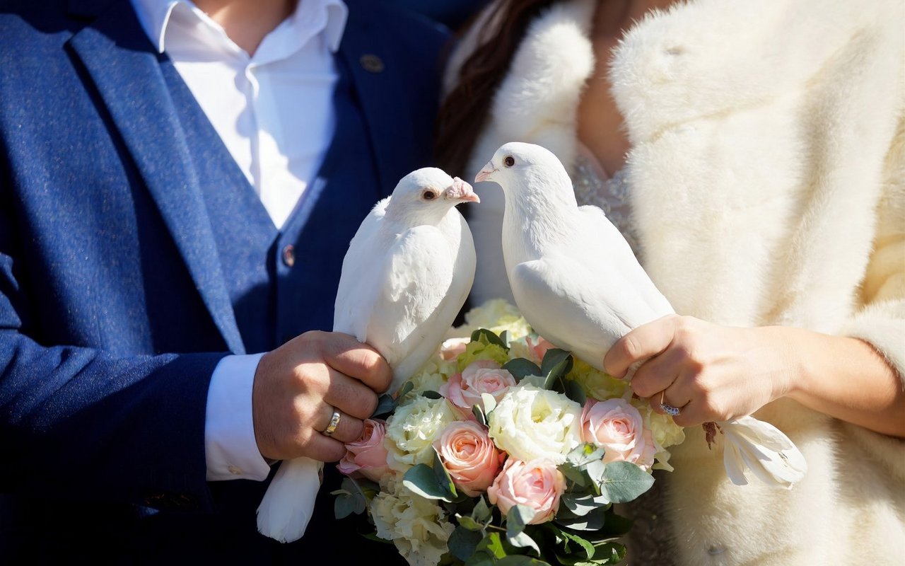 Der Brauch, Tauben an einer Hochzeit fliegen zu lassen, ist nicht unumstritten.