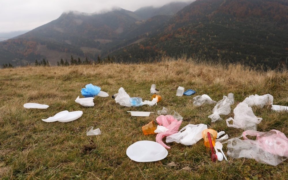 Der Umgang mit Plastikabfall gehört zu den drängendsten Umweltproblemen. 
