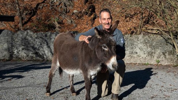 Tierpfleger Hansruedi Schori mit Grittli