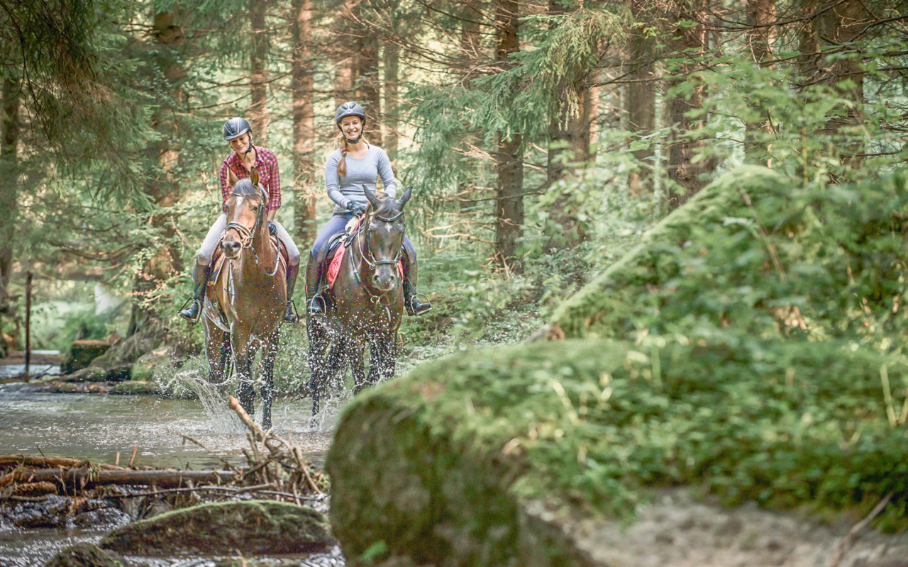 Eine Abkühlung im Bach tut gut und macht Spass.