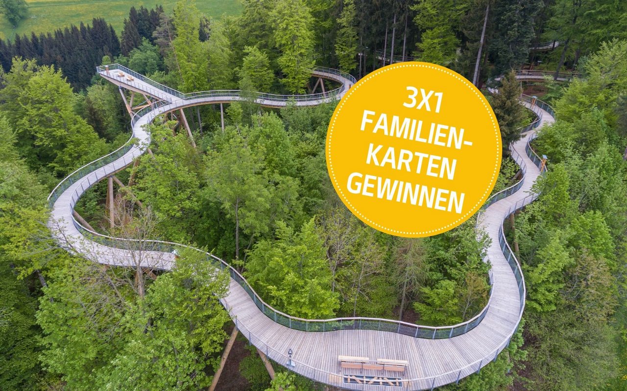 Die Wanderung mitten im Wald auf einer unerwarteten Höhe vermittelt neue Erkenntnisse.