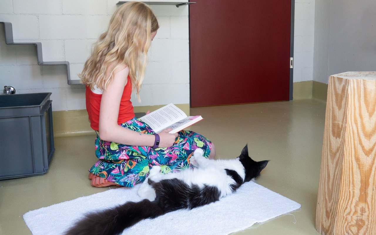 Katzen hören geduldig zu, ohne je zu korrigieren – dadurch gewinnen die Kinder an Selbstvertrauen.