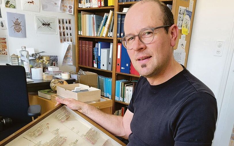 Christoph Germann in seinem Büro im Naturhistorischen Museum Basel.