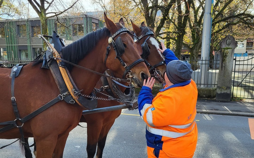 Die IG Arbeit bringt Personen mit psychischen Schwierigkeiten zurück in die Arbeitswelt.