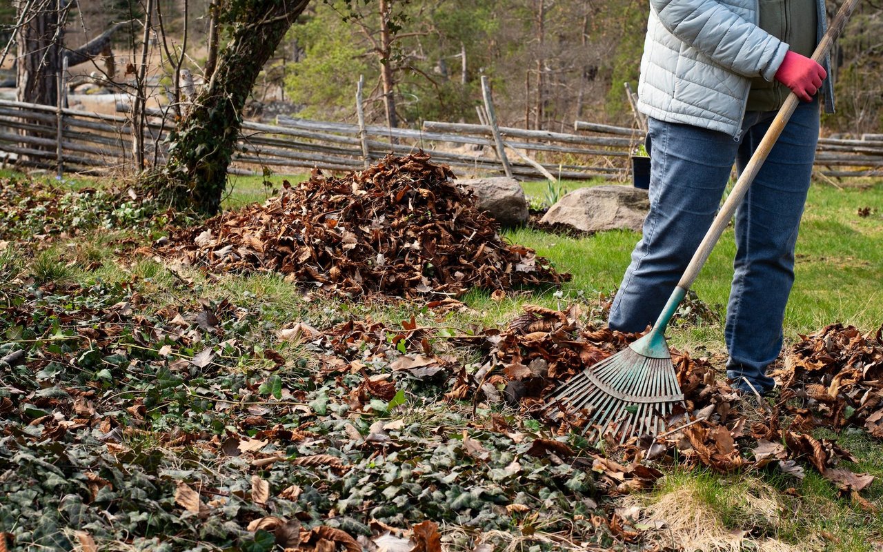 Im Herbst statt zum Laubbläser zum Rechen zu greifen ist gut für die Gesundheit und schont die Natur. Laubhaufen bieten Unterschlüpfe für Igel und Co.