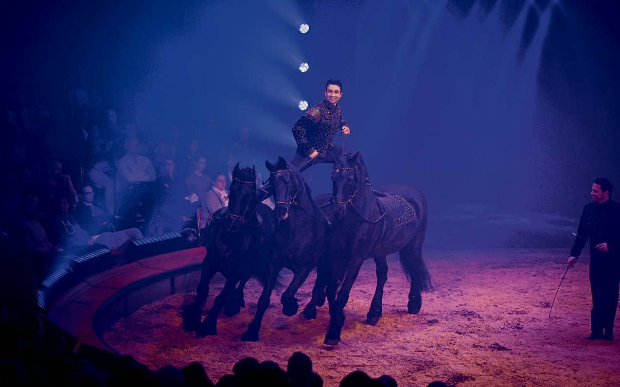 Routinen und eine feste Tagesstruktur sind für Zirkuspferde nicht nur während der Aktivzeit wichtig.