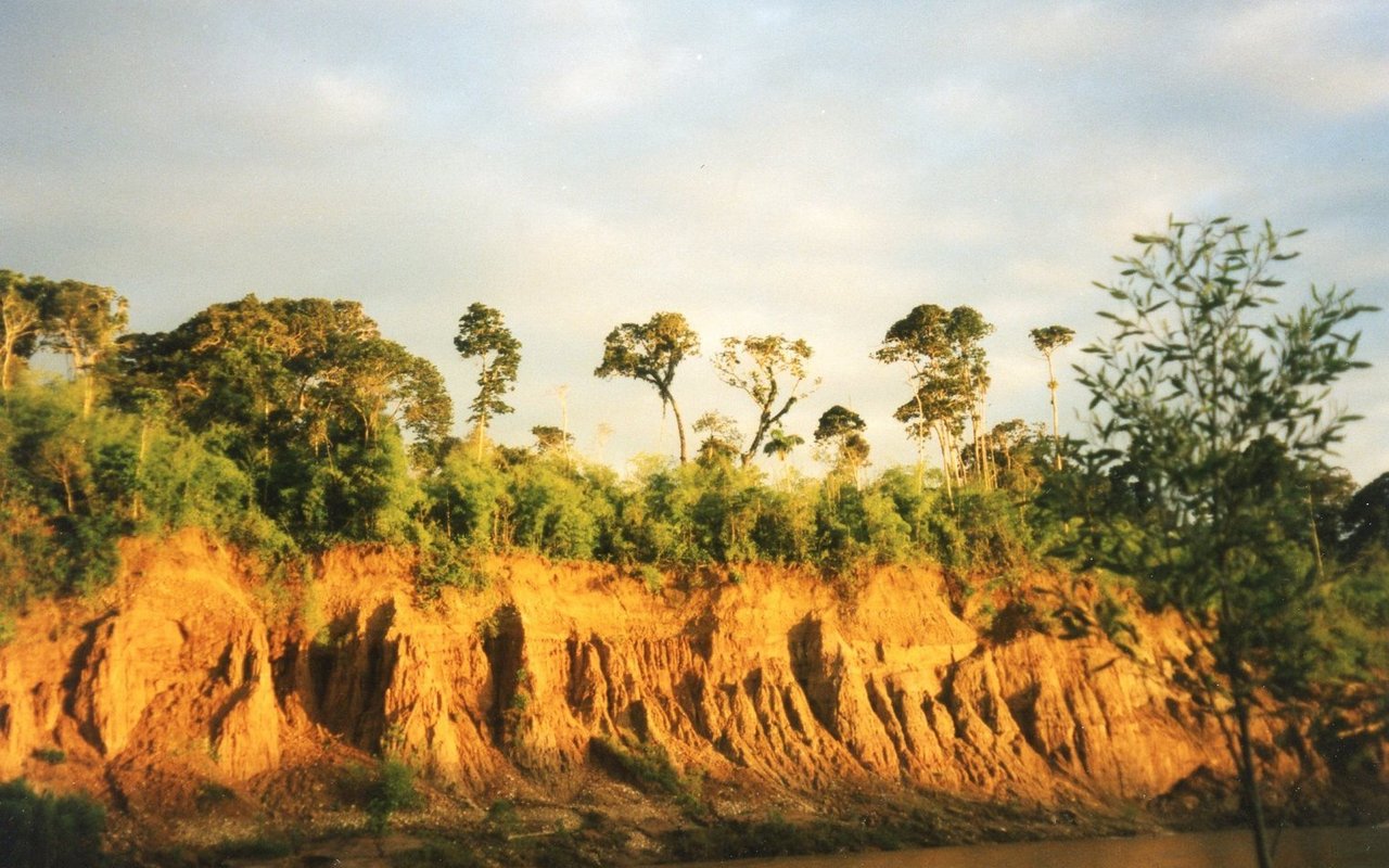 Die Colpa bei Tambopata, die bei den Aras beliebte Lehmlecke, von ersten Sonnenstrahlen beschienen. 