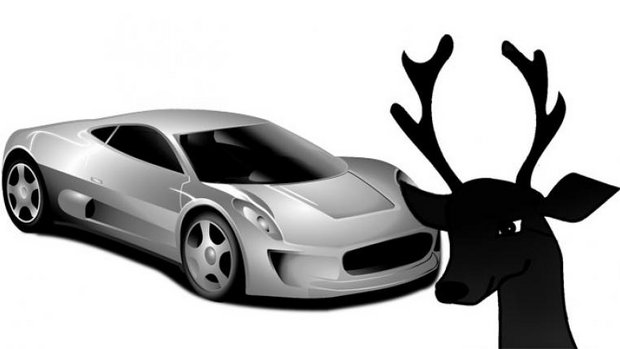 car-reh.jpg