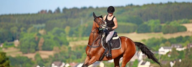 Erschrockenes Pferd mit Reiterin