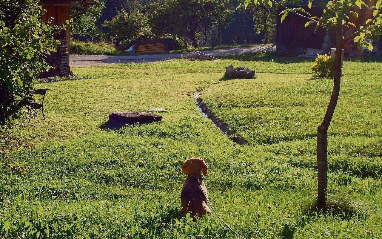 Ein natürlicher Garten ist spannender als ein steril gehaltener, erfordert aber viele Kompromisse.