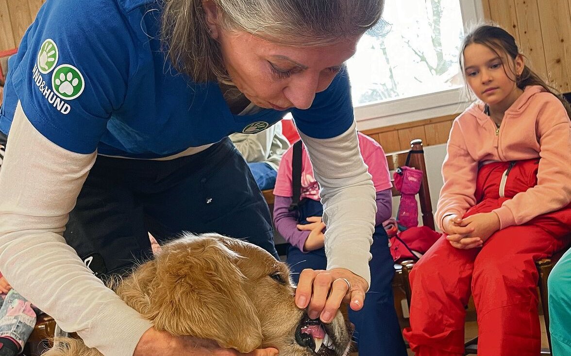 Dank des Vereins Kind & Hund dürfen Kinder auch mal gefahrlos ein Hundegebiss von Nahem sehen.