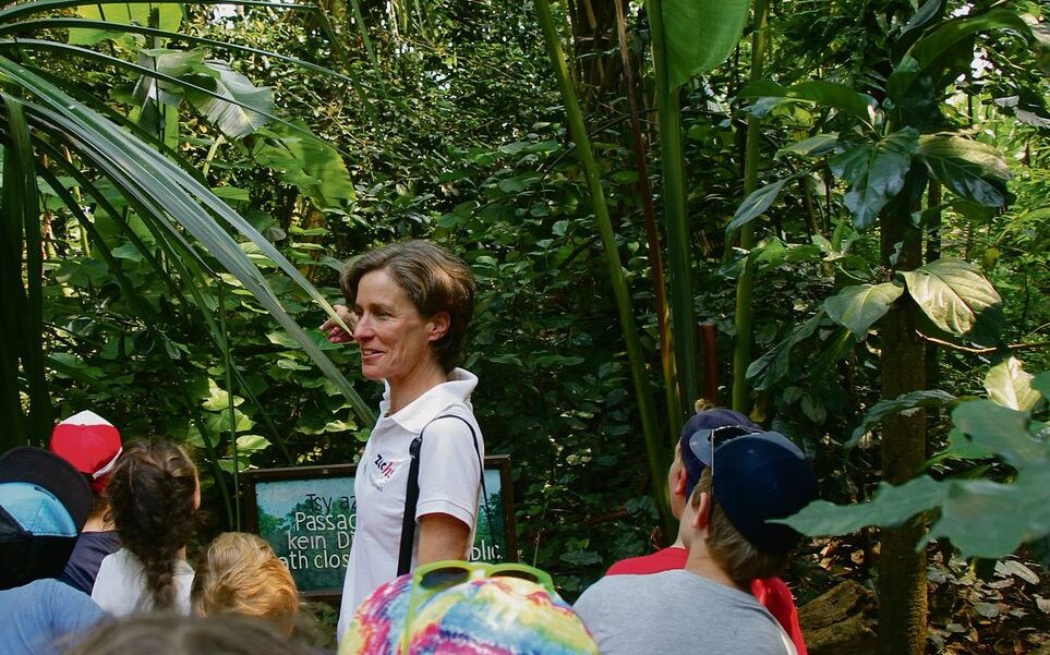 Mit der Zoopädagogin Francesca Balmelli entdeckt man Spannendes im Zürcher Masoala-Regenwald.
