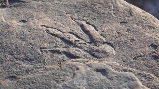 Dinosaurier-Fussabdruck am Strand