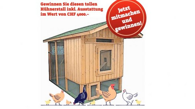 Gewinnspiel Hühnerstall von Hauptner