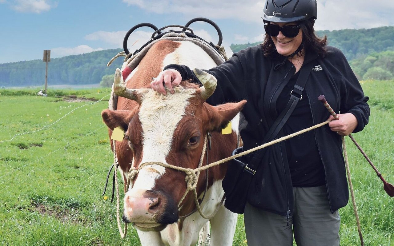 Zwischen den Hörnern zu kraulen gehört zum Kennenlernritual.