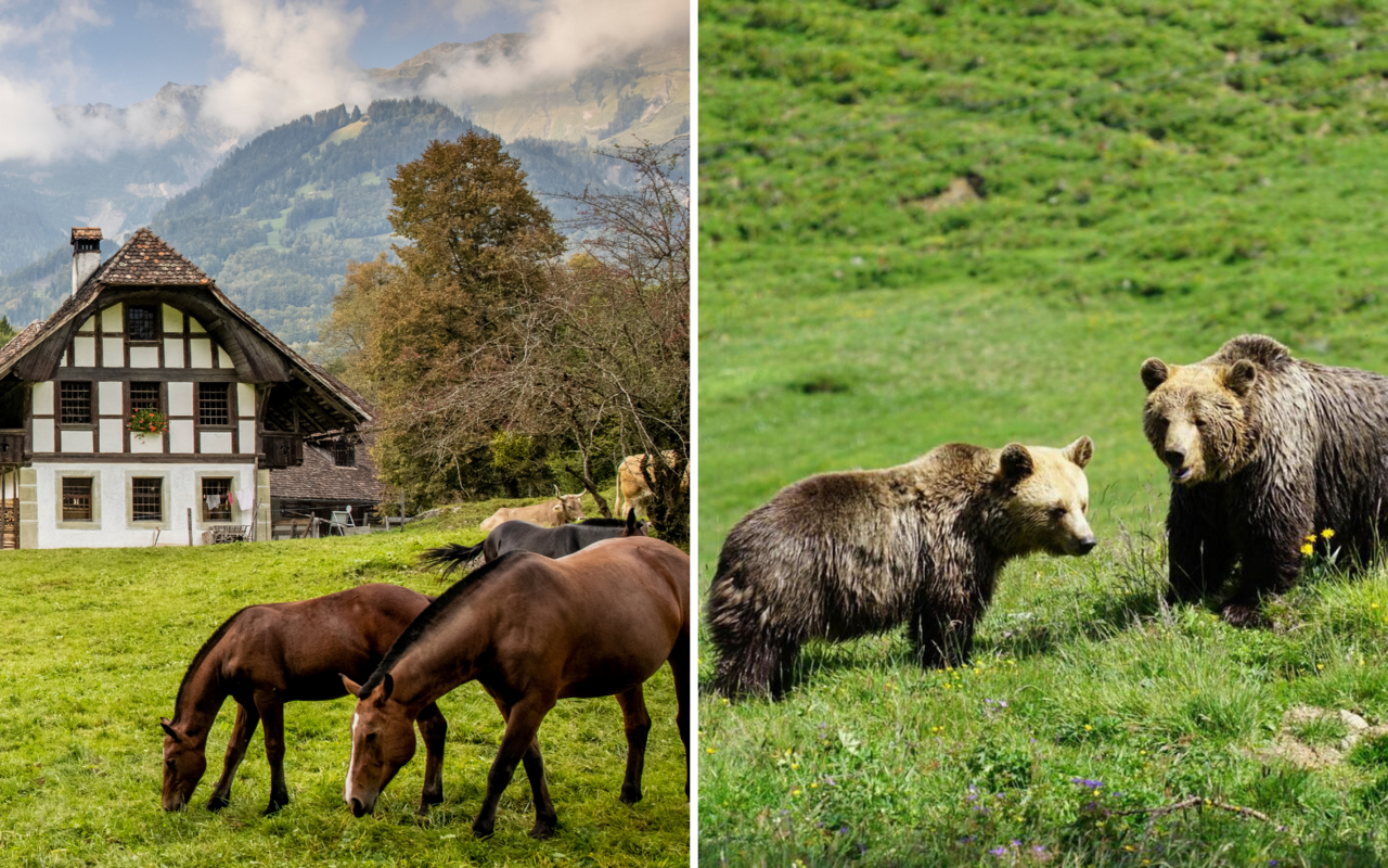 In der Schweiz gibt es verschiedenste Ausflugsziele die sich in der Natur befinden oder sich mit der Natur beschäftigen. 