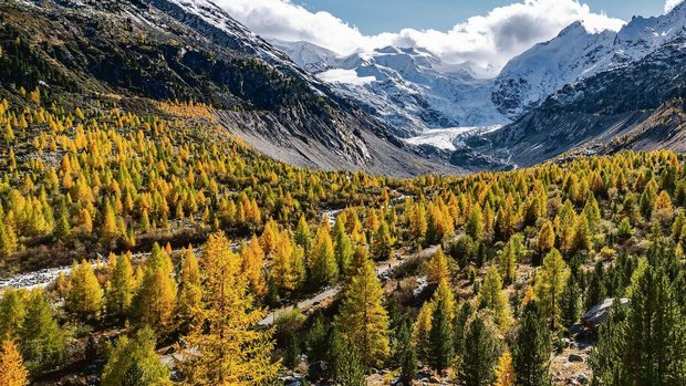 Bildlegende bliblaublu Bildlegende bliblaublu Bildlegende bliblaublu