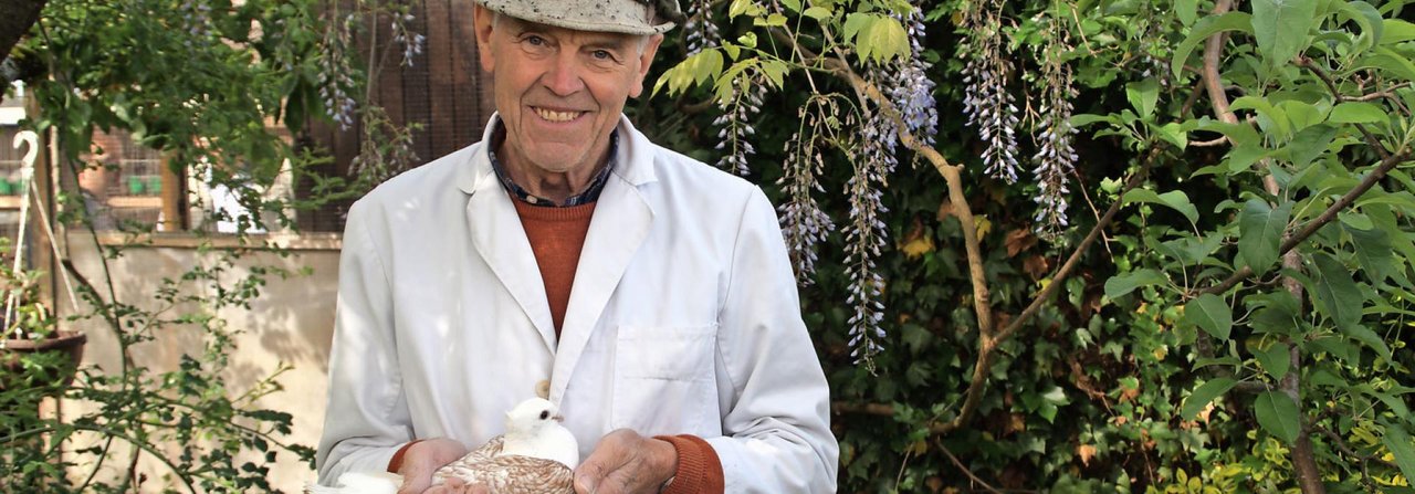 Für Edmund Kutscherauer, Spitzenzüchter verschiedener Schweizer Taubenrassen, gehört der weisse Mantel bei der täglichen Schlagkontrolle dazu.