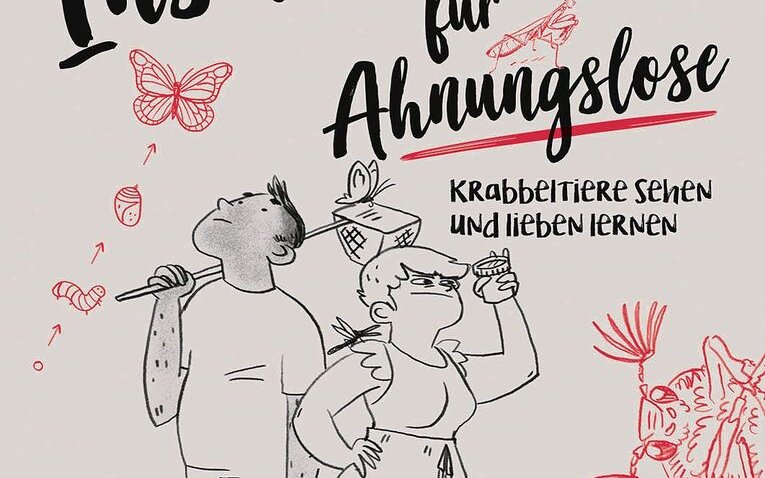 Eine Anleitung zum Entdecken, Bestimmen und Verstehen der Insektenwelt: Véro Mischitz: «Insektenwelt für Ahnungslose. Krabbeltiere sehen und lieben lernen» 128 Seiten mit 250 Zeichnungen, Kosmos-Verlag