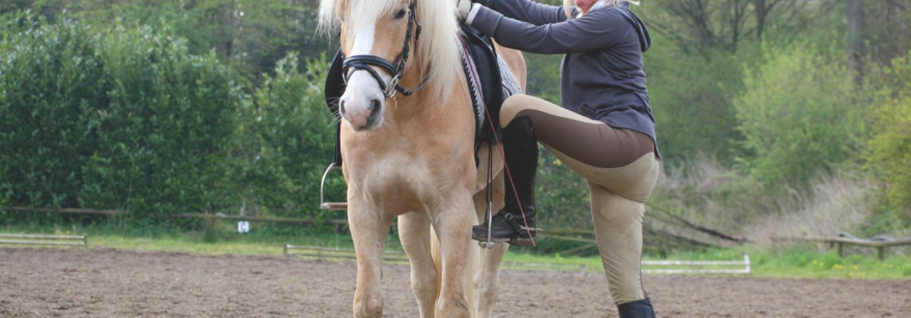 Ruhiges Stehenbleiben gehört zur Grunderziehung des Pferdes und ist Voraussetzung für das Aufsteigen.