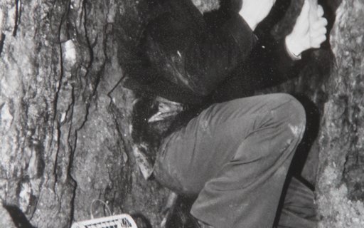 Historische Aufnahme eines Bergmanns mit Kanarienvogel im Stollen. 