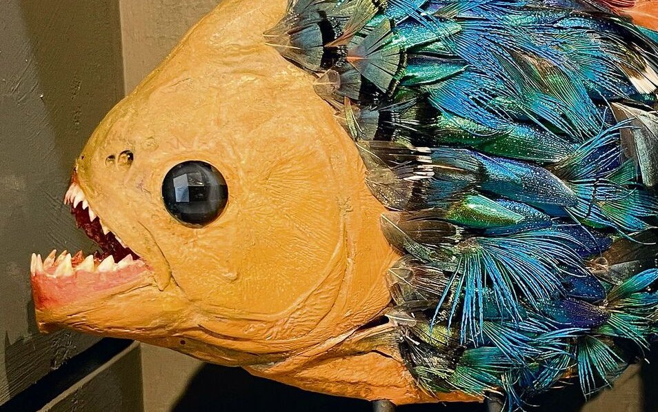 Ein farbenfroh präparierter Piranha. 