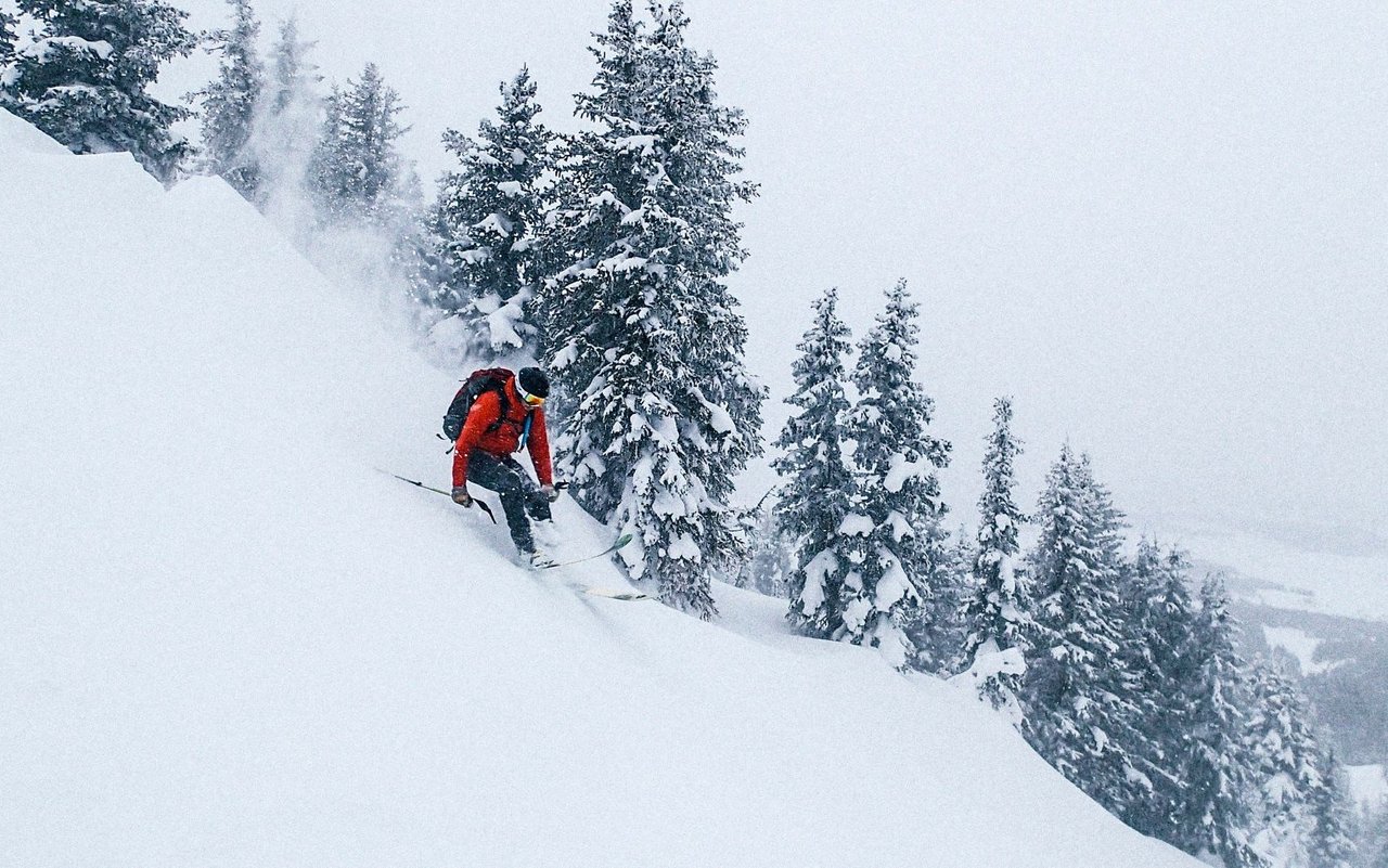 In Wildtierschutzgebieten ist das Skifahren abseits der markierten Loipen verboten.