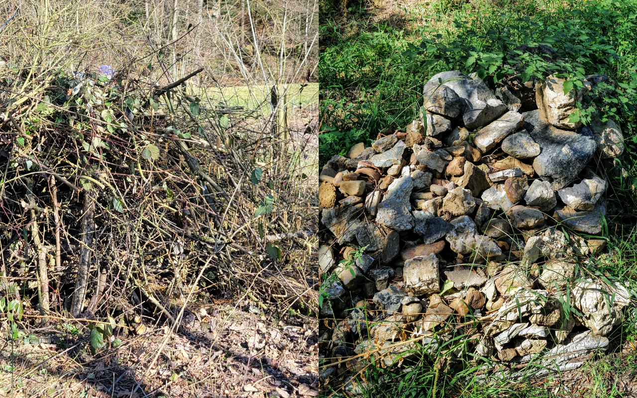 Ast- und Steinhaufen sind sehr einfache Massnahmen für mehr Biodiversität.