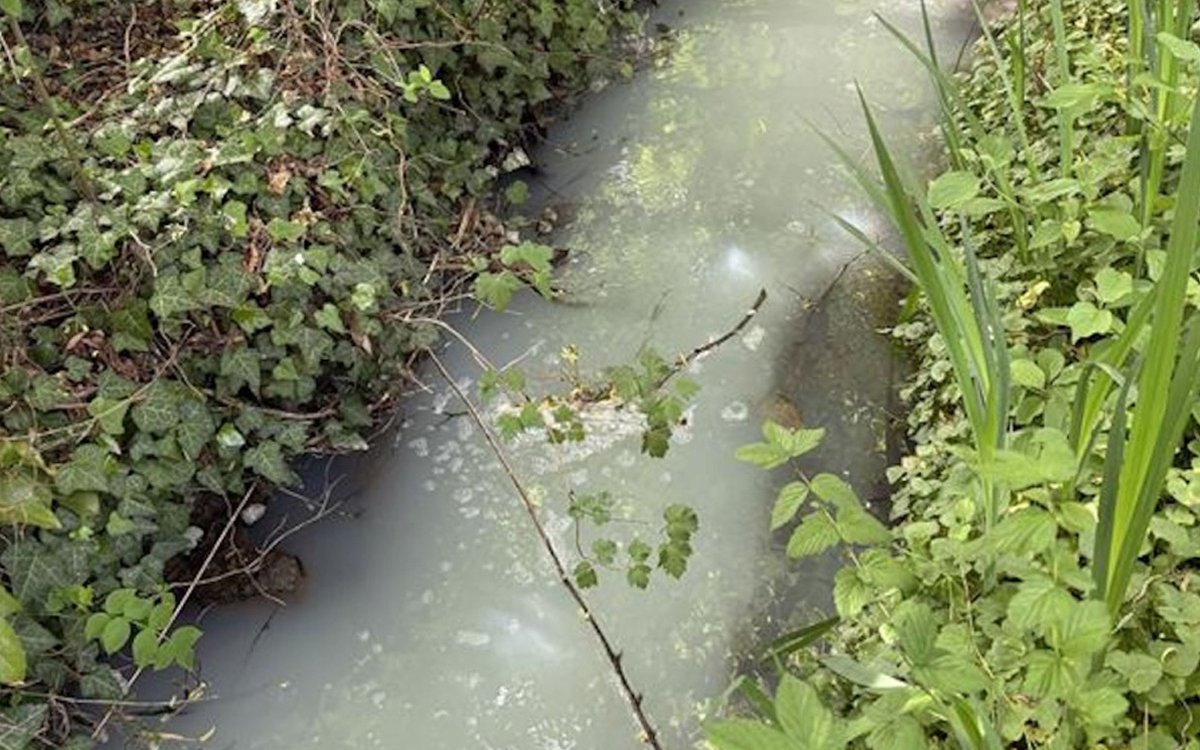 In Greng (FR) liefen im April 2026 mehrere Liter Milch in den Dybach und verschmutzten das Wasser über hunderte Meter hinweg.