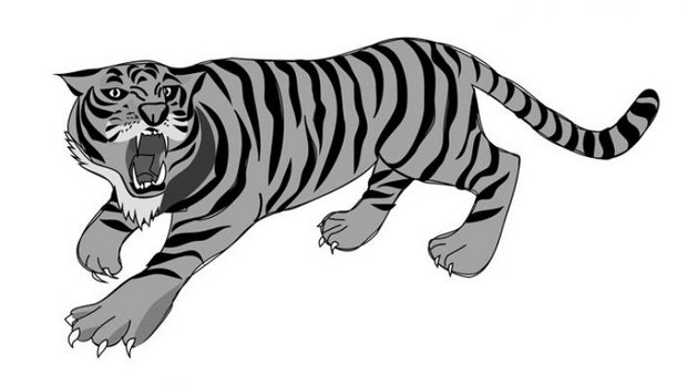 tiger-pixabay.jpg