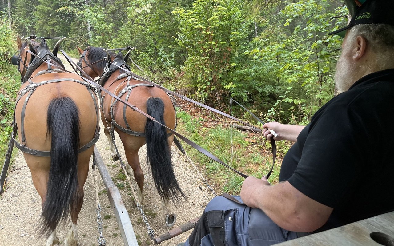 Mit Nesquik und Eros, gelenkt von Laurent Jullierat, geht es über Wald- und Wiesenwege.