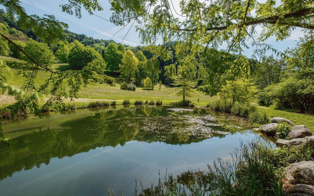 In die Hügellandschaft zwischen See und Jura eingebettet, zeigt das Arboretum Aubonne die Baumvielfalt unserer Breitengrade. 