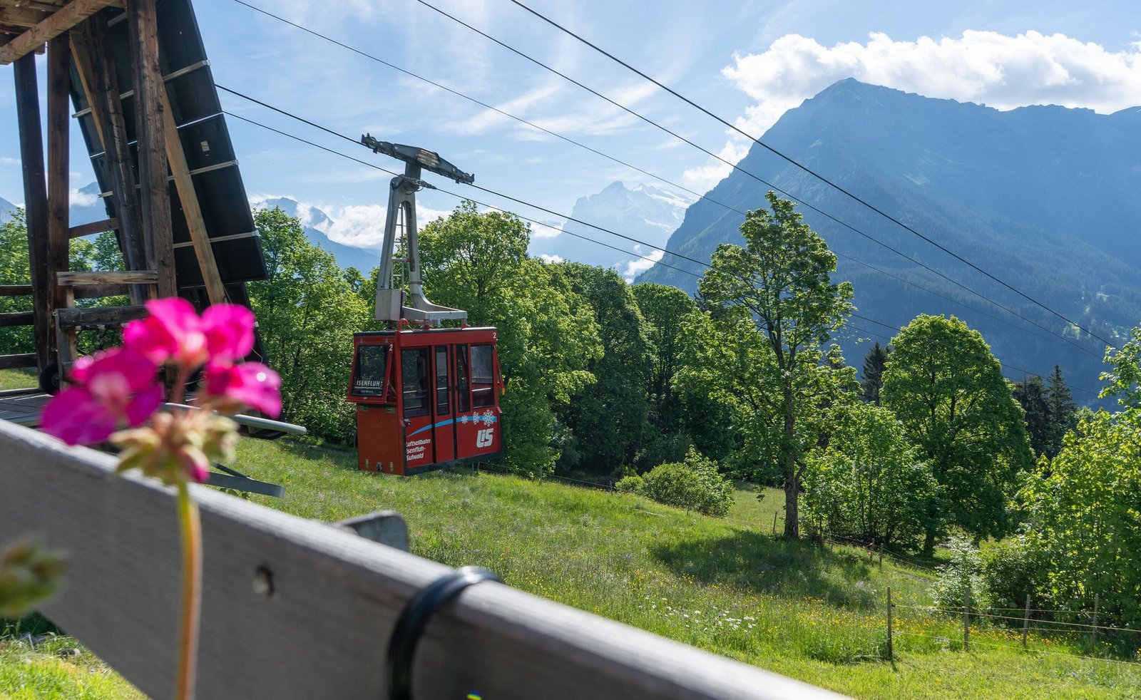 Diese Schweizer Bergbahnen sind nicht wie die anderen - tierwelt.ch ...