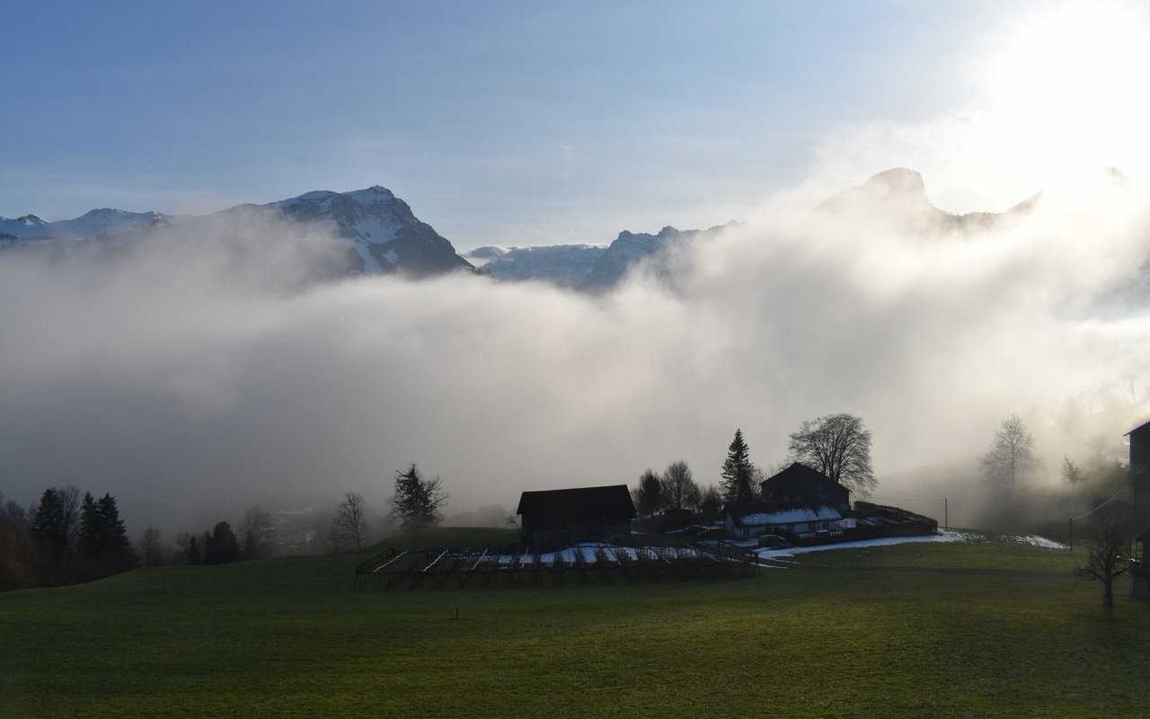 Das Tierheim Burg, gerade knapp vor den Wolken.