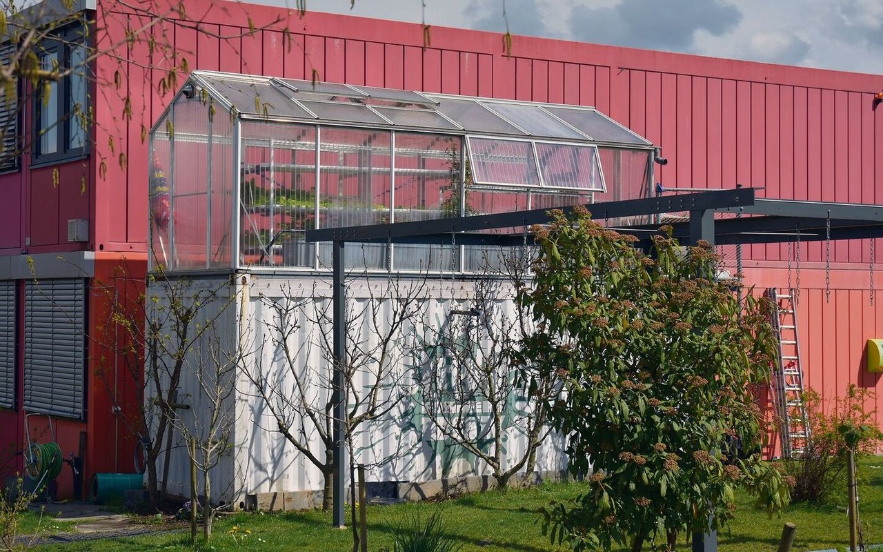 Die Aquaponik-Anlage der internationalen Schule besteht aus einem weissen Container, in dem sich die Fischebefinden, und dem Gewächshaus für Salate und Tomaten auf dessen Dach.