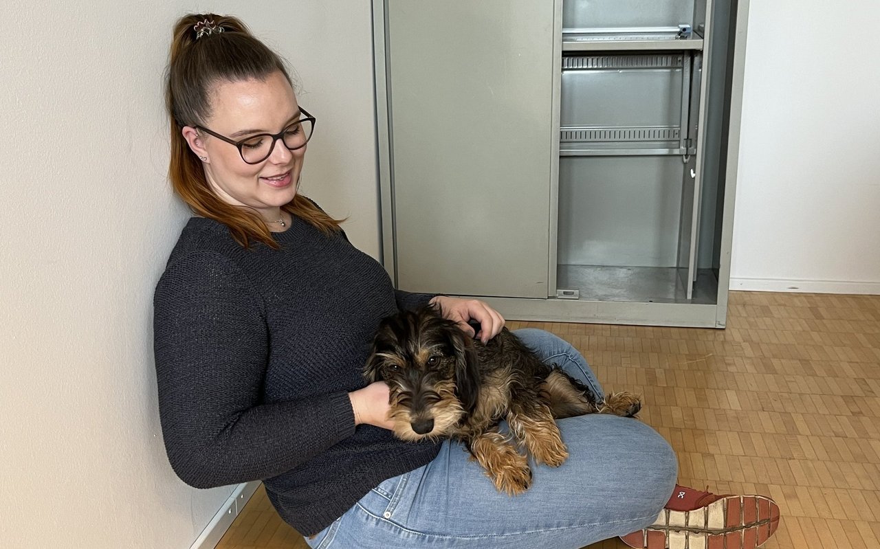 Ein Bürohund scheint gut für das Gemüt.