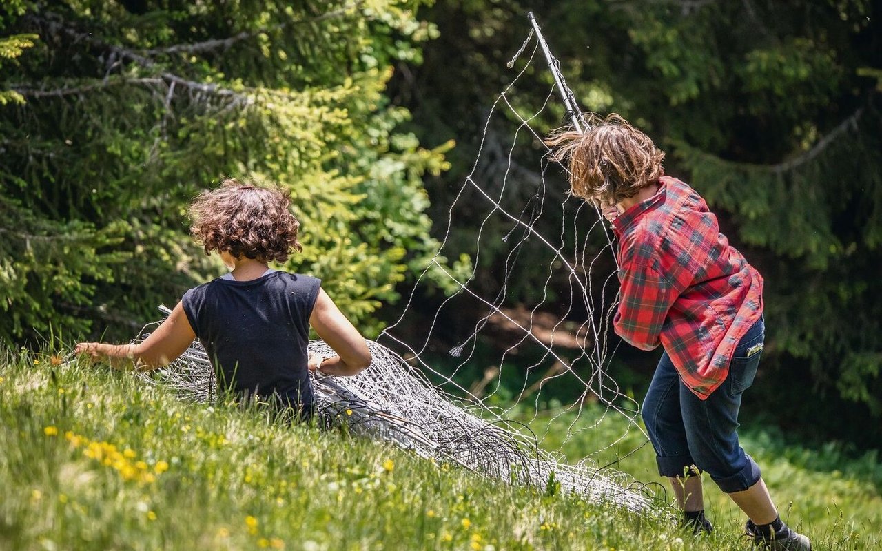 Das Transportieren und fachgerechte Montieren der Netzzäune stellt die Haupttätigkeit der freiwilligen Herdenschutzhilfen dar.