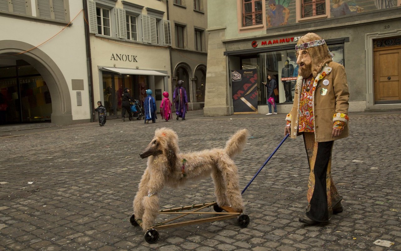 Solche Hunde mitzunehmen ist hingegen kein Problem. 