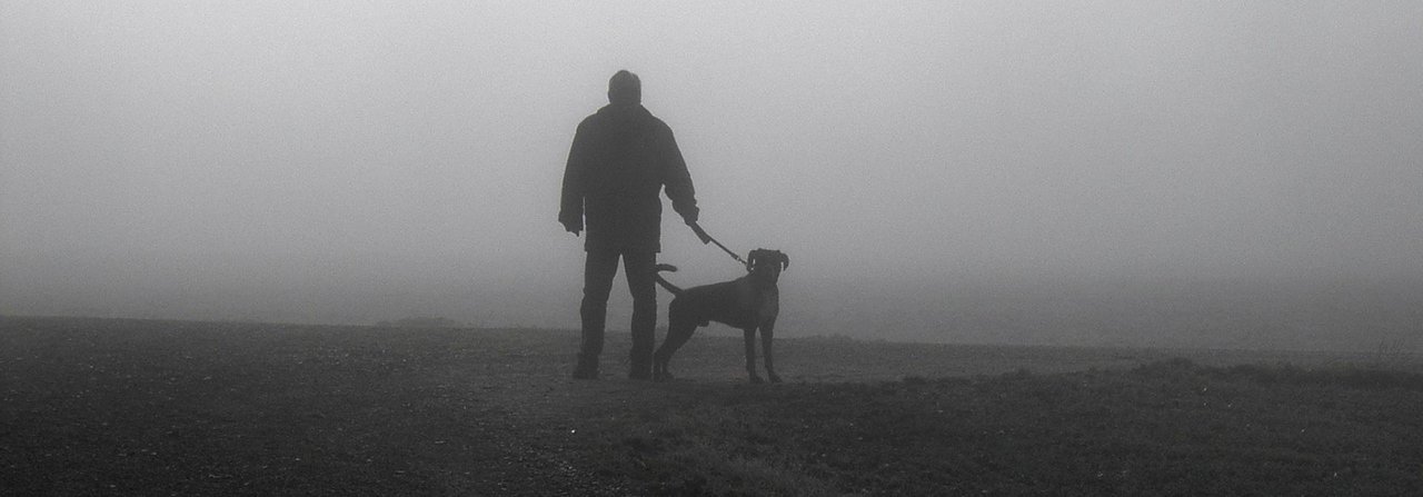 Damit sie im Dunkeln niemanden erschrecken, müssen sich Hund und Halter sichtbar machen.