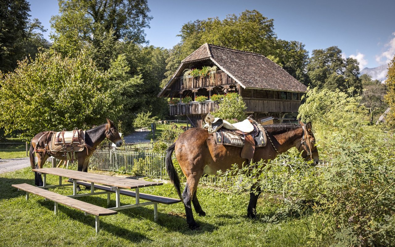  Freilichtmuseen verbinden Kultur und Natur. 