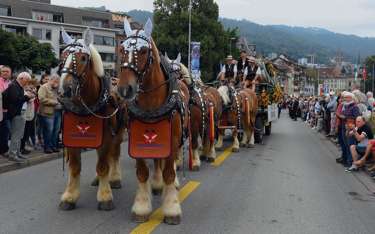 Brauereien liefern ihr Bier an bestimmte Kunden direkt per Pferd an. 