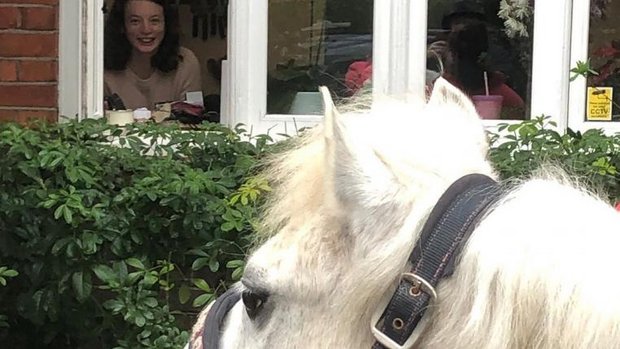 Pony macht Hausbesuch in London