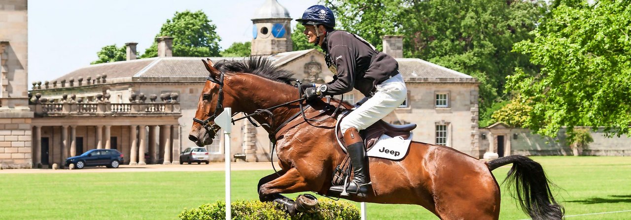 Der fast zwei Meter grosse, erfolgreiche Vielseitigkeitsreiter William Fox-Pitt lässt auch grosse Pferde klein wirken.