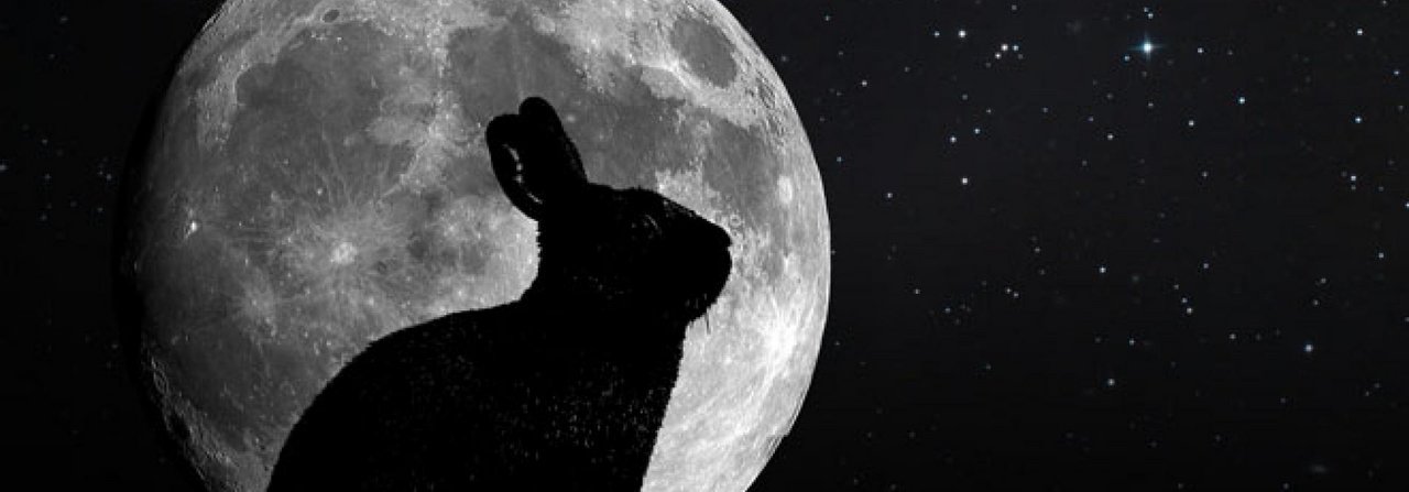 Der Mond und sein «Verhalten» soll die Vitalität von Jungtieren beeinflussen.