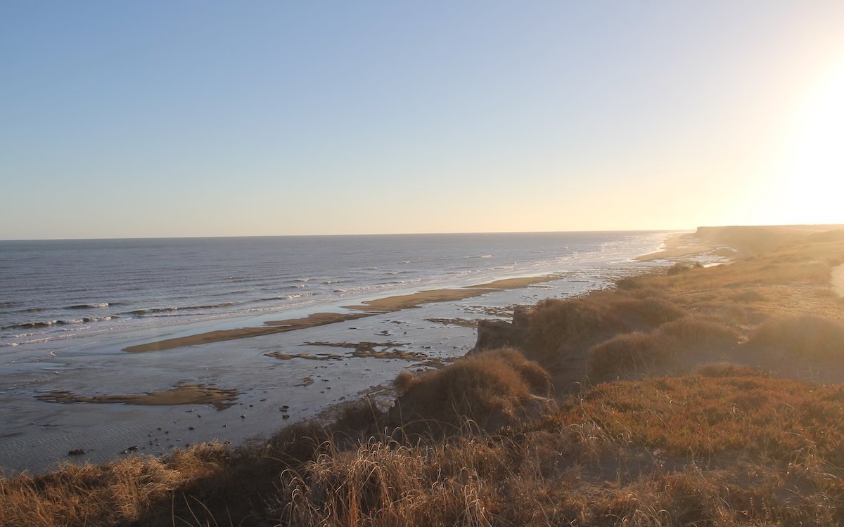 Die Felsensittich-Kolonie von El Cóndor lebt in einer eimaligen Landschaft direkt am Atlantik. 