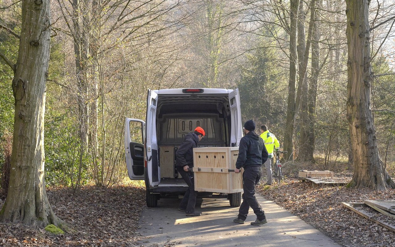 Die Kisten werden vorsichtig in den Transporter verladen.